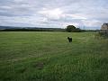 Campers to camp in top half of field